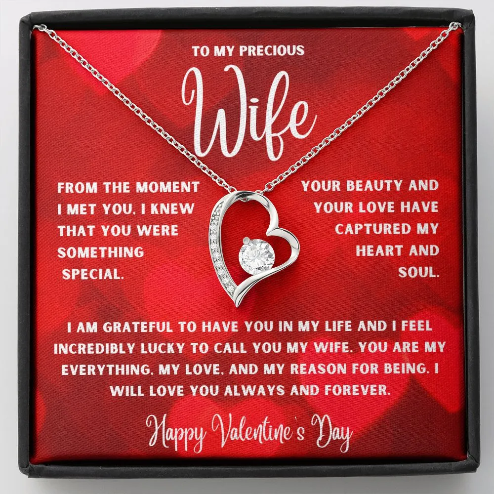To My Precious Wife From The Moment I Met You Valentine's Day