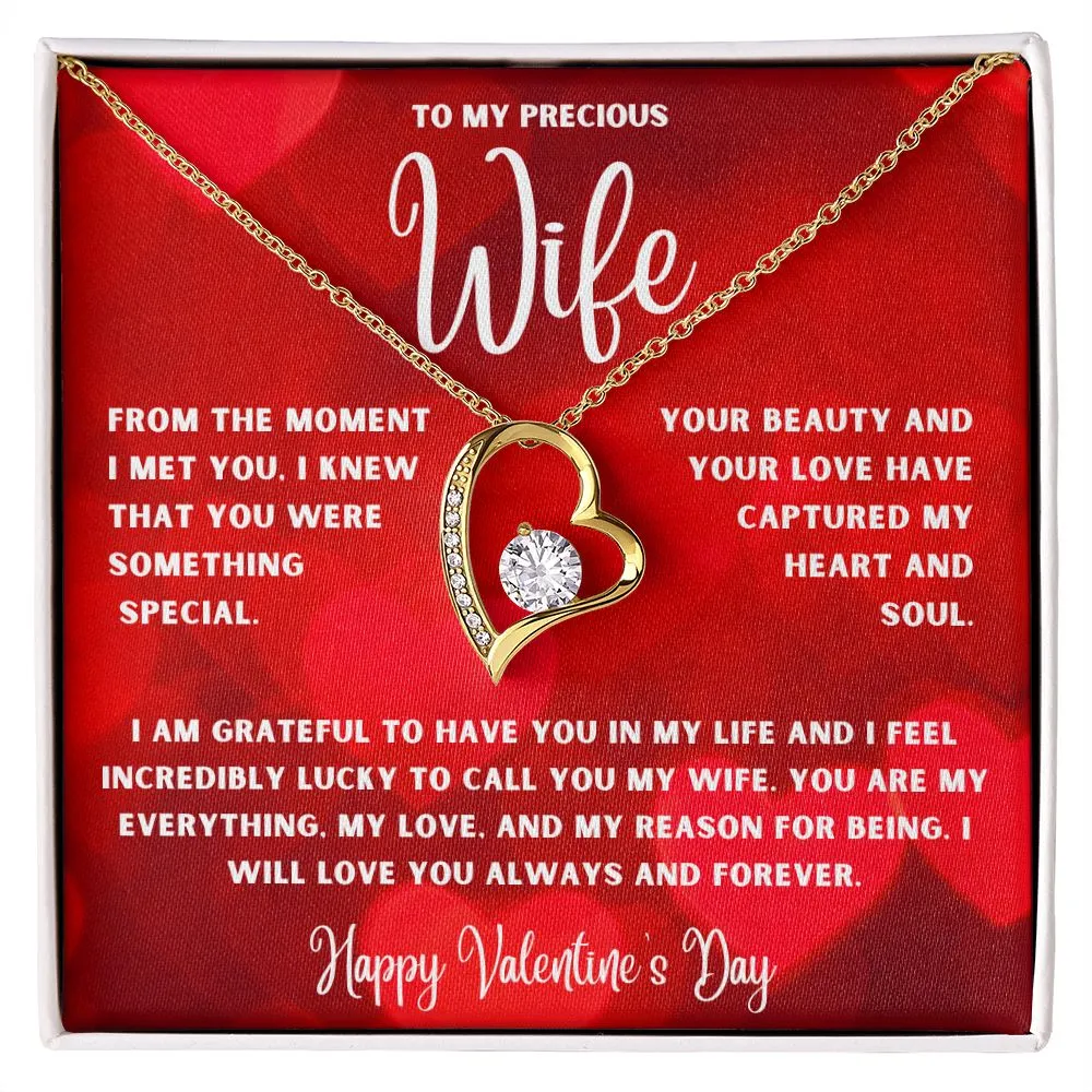 To My Precious Wife From The Moment I Met You Valentine's Day