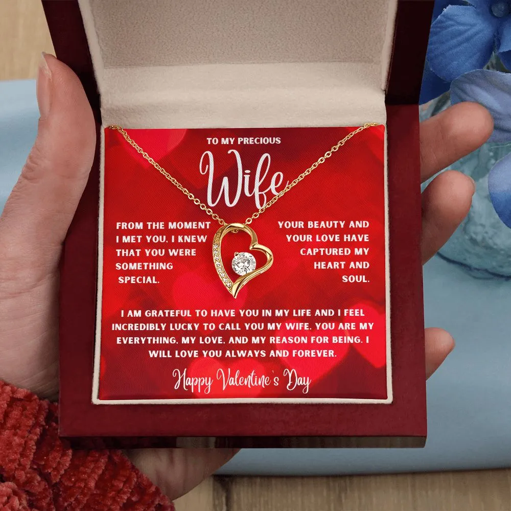 To My Precious Wife From The Moment I Met You Valentine's Day
