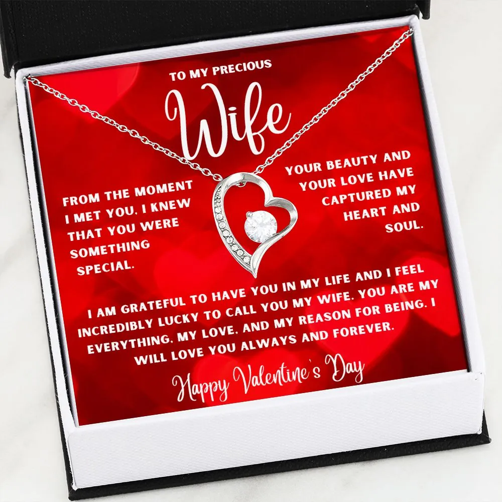 To My Precious Wife From The Moment I Met You Valentine's Day