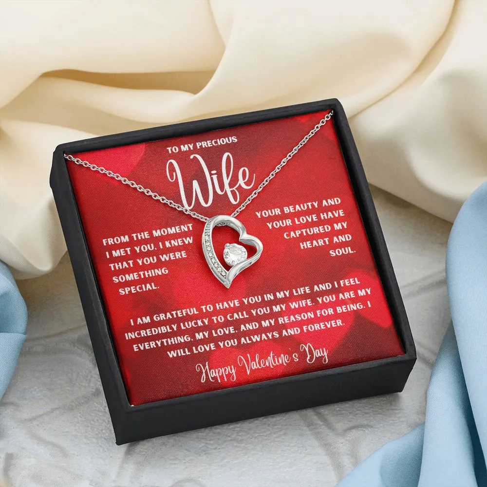 To My Precious Wife From The Moment I Met You Valentine's Day