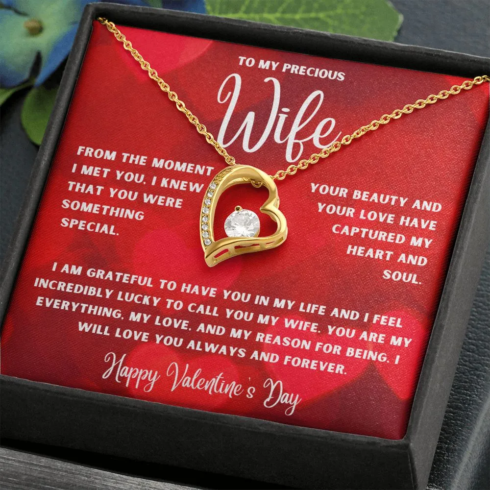To My Precious Wife From The Moment I Met You Valentine's Day