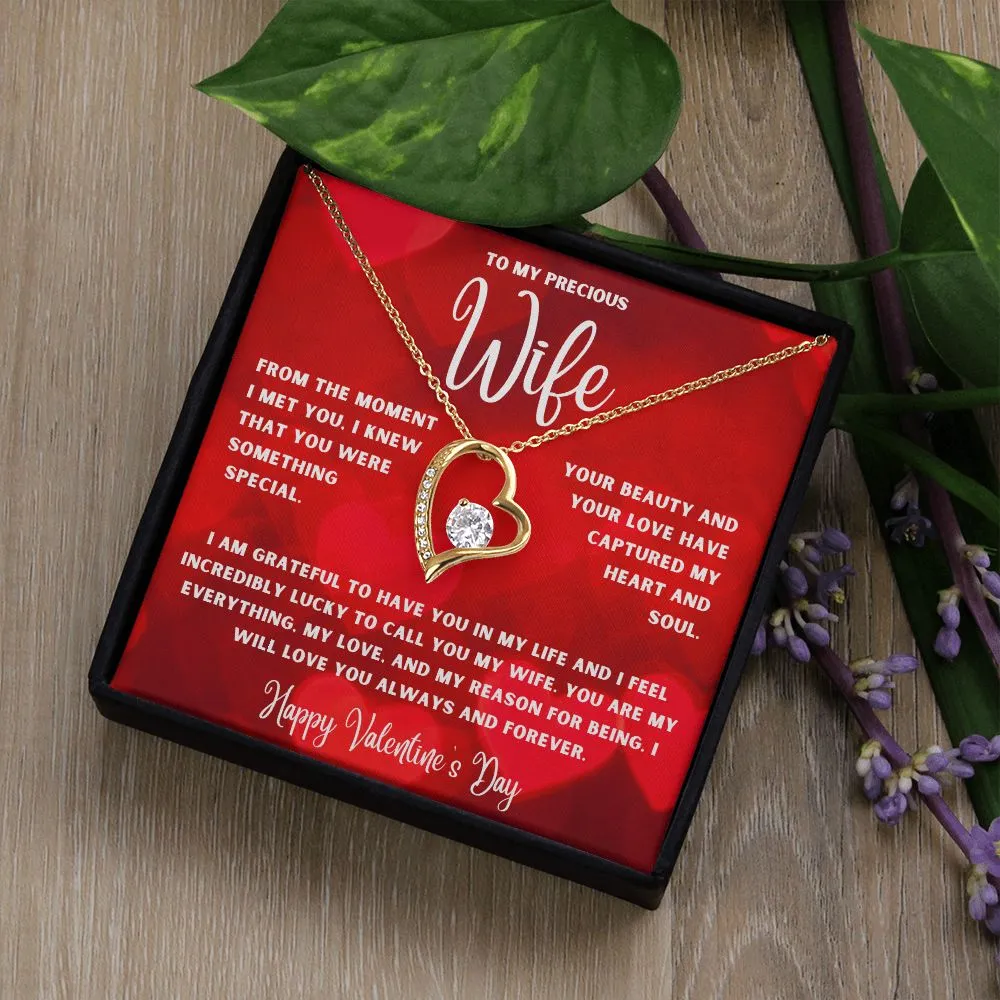 To My Precious Wife From The Moment I Met You Valentine's Day