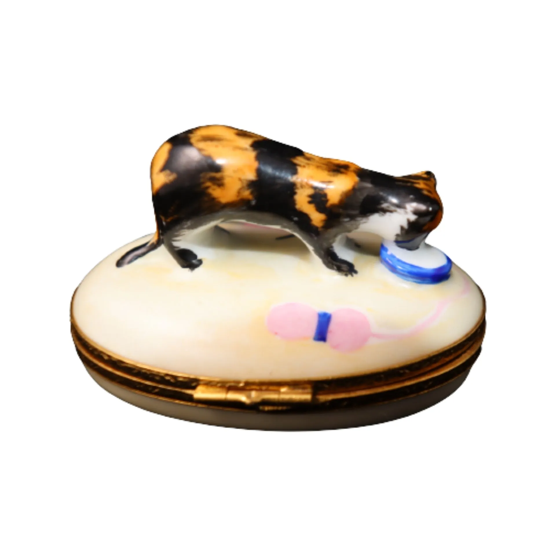 Tortoise Shell Cat