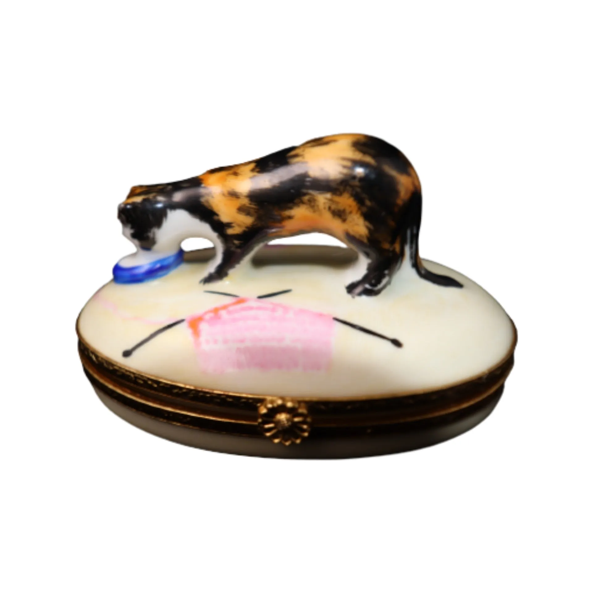 Tortoise Shell Cat