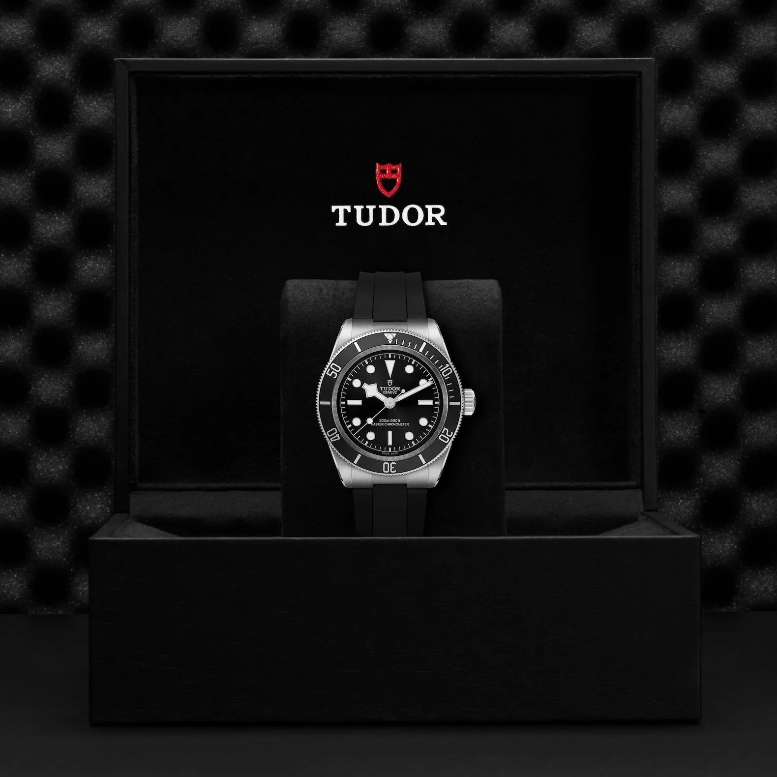 TUDOR Black Bay 41mm Steel