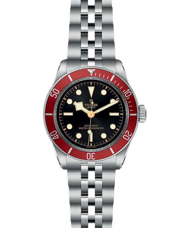 TUDOR Black Bay 41mm Steel