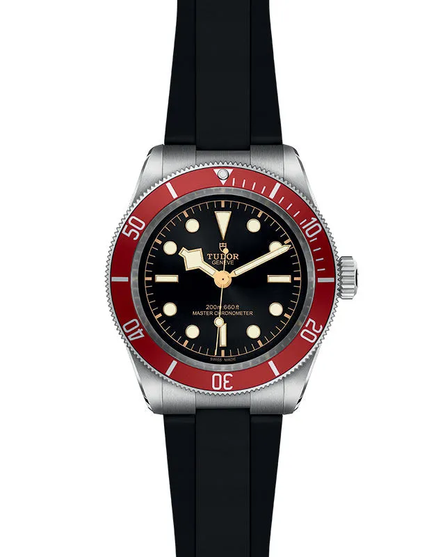TUDOR Black Bay 41mm Steel
