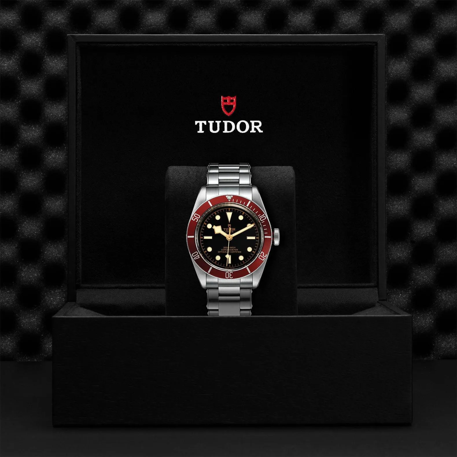 TUDOR Black Bay 41mm Steel