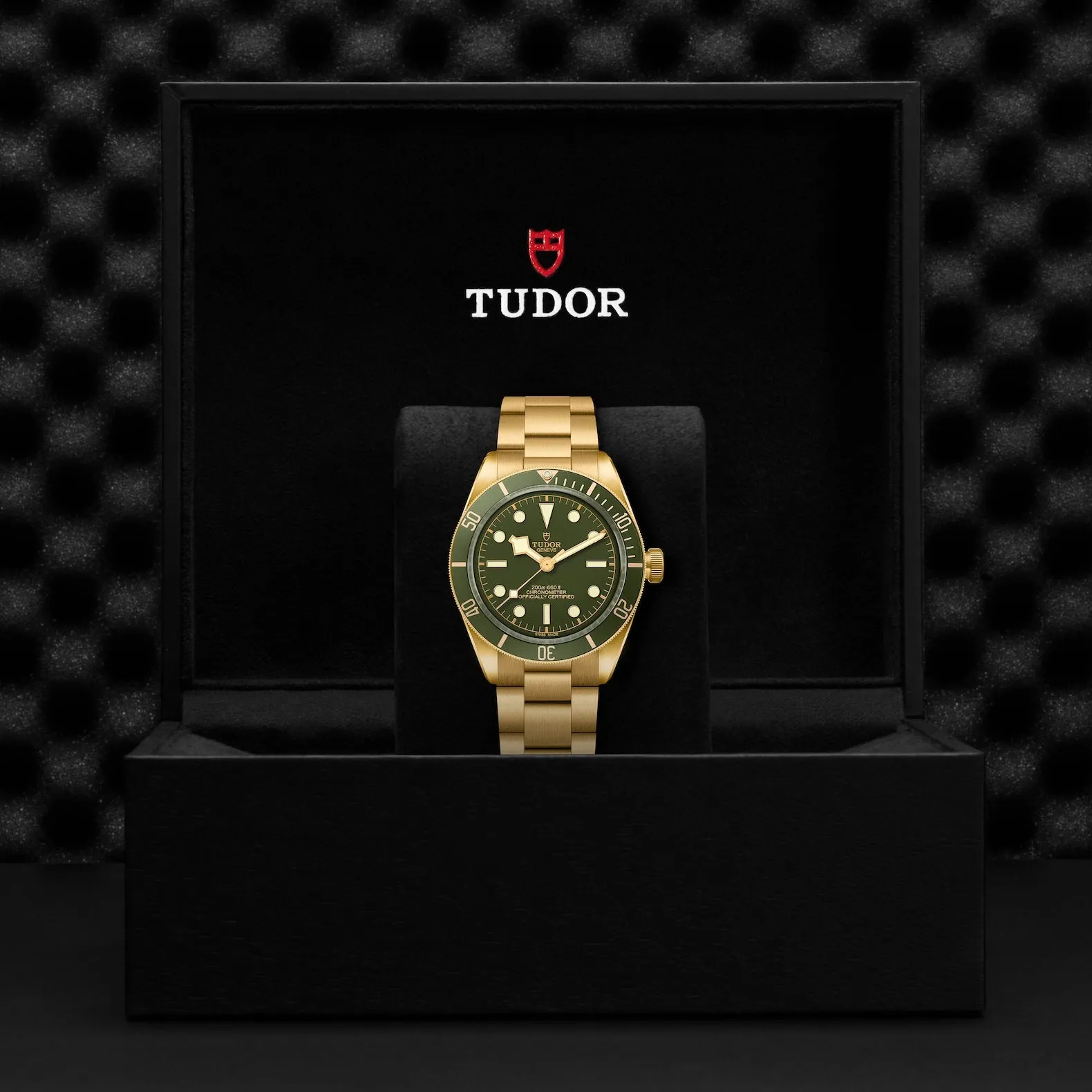 TUDOR Black Bay 58 18K