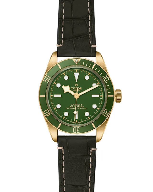 TUDOR Black Bay 58 18K