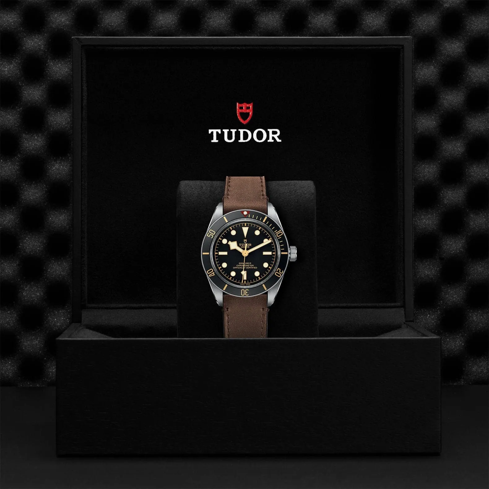 TUDOR Black Bay 58 39mm Case, Black Dial, Brown Leather Strap (M79030N-0002)