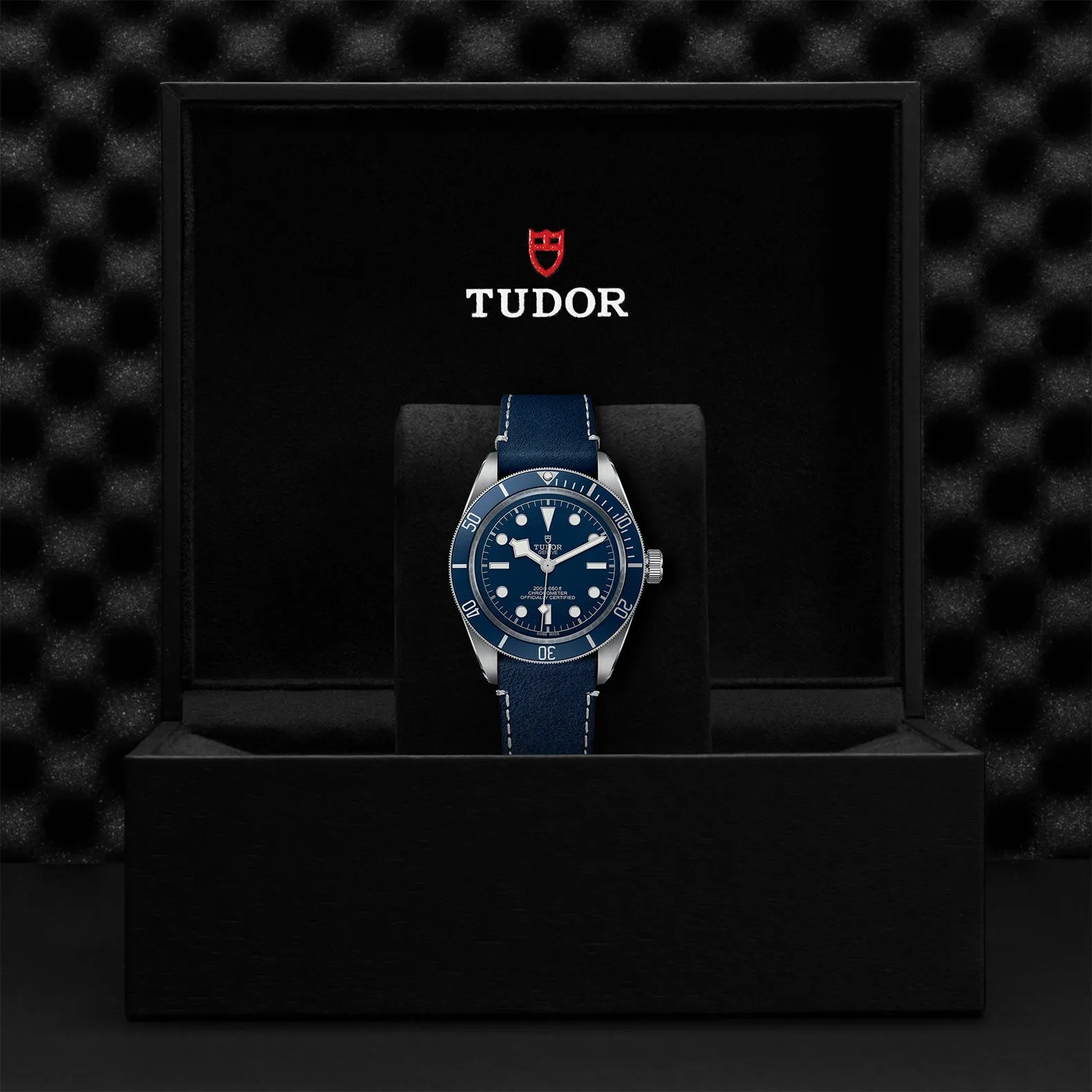 TUDOR Black Bay 58 39mm Case, Blue Dial, Soft Touch Strap (M79030B-0002)