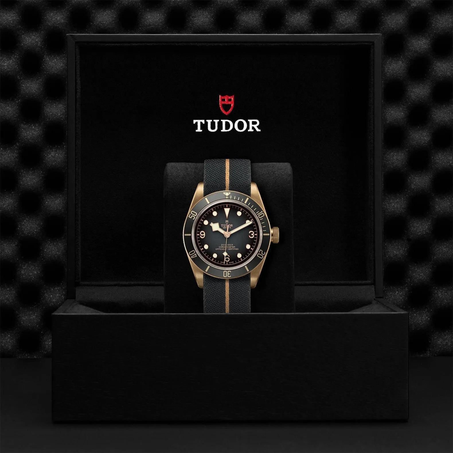 TUDOR Black Bay Bronze 43mm