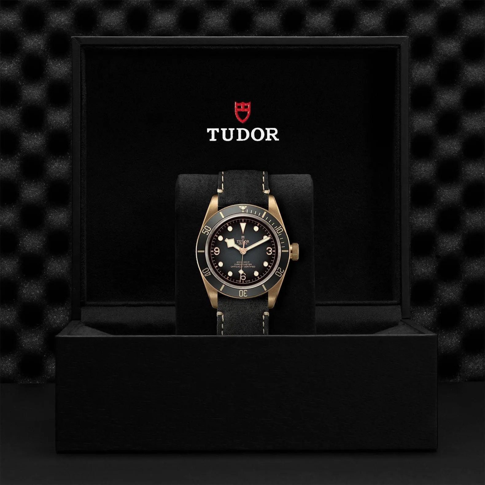TUDOR Black Bay Bronze 43mm