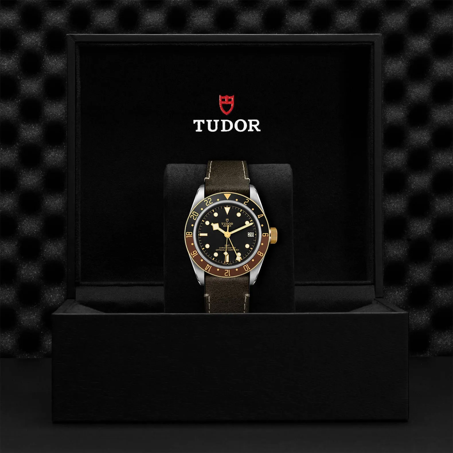TUDOR Black Bay GMT S&G 41mm Case, Black Dial, Brown Leather Bracelet (M79833MN-0003)