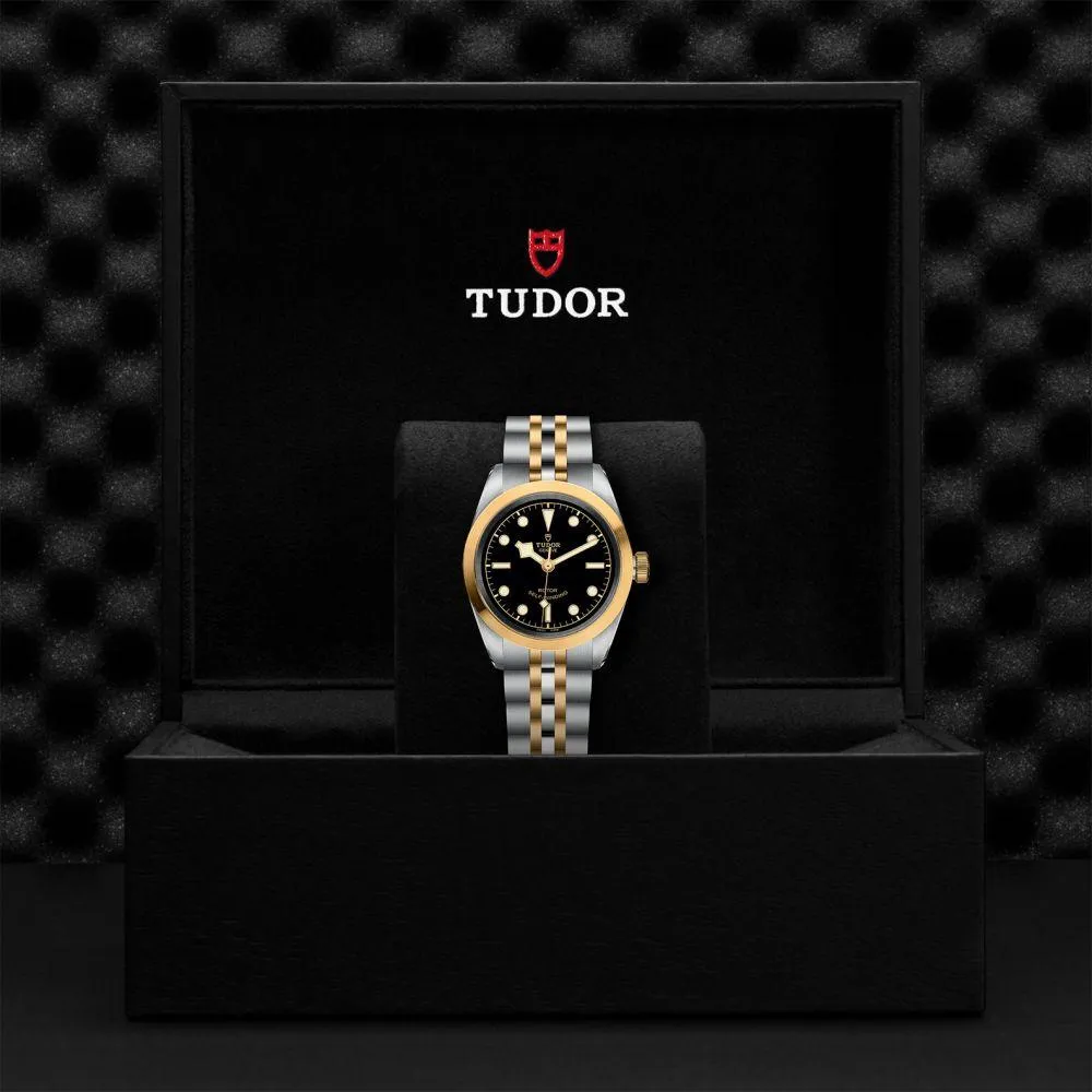 TUDOR Black Bay S&G 31mm
