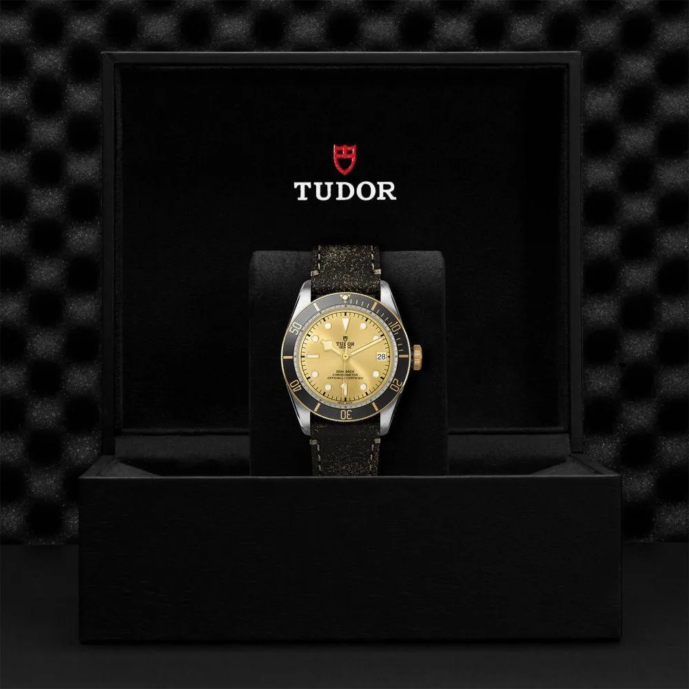 TUDOR Black Bay S&G 41mm Steel and Gold
