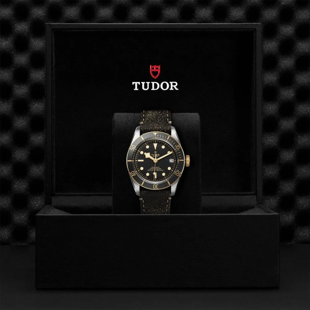 TUDOR Black Bay S&G 41mm Steel and Gold