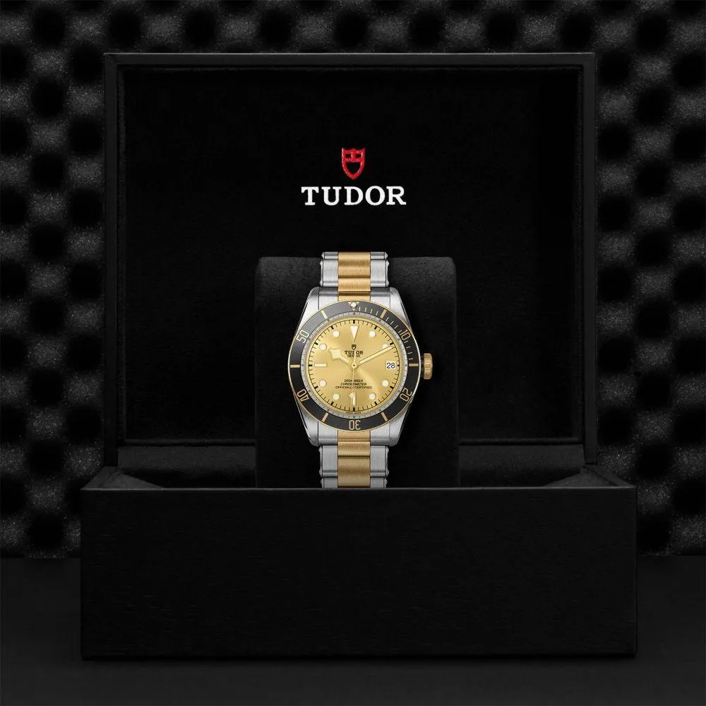 TUDOR Black Bay S&G 41mm Steel and Gold