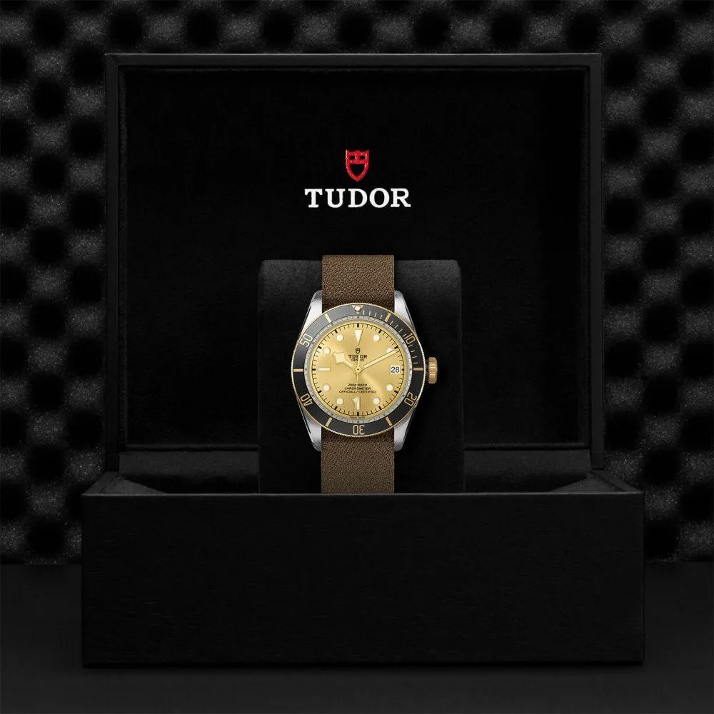 TUDOR Black Bay S&G 41mm Steel and Gold