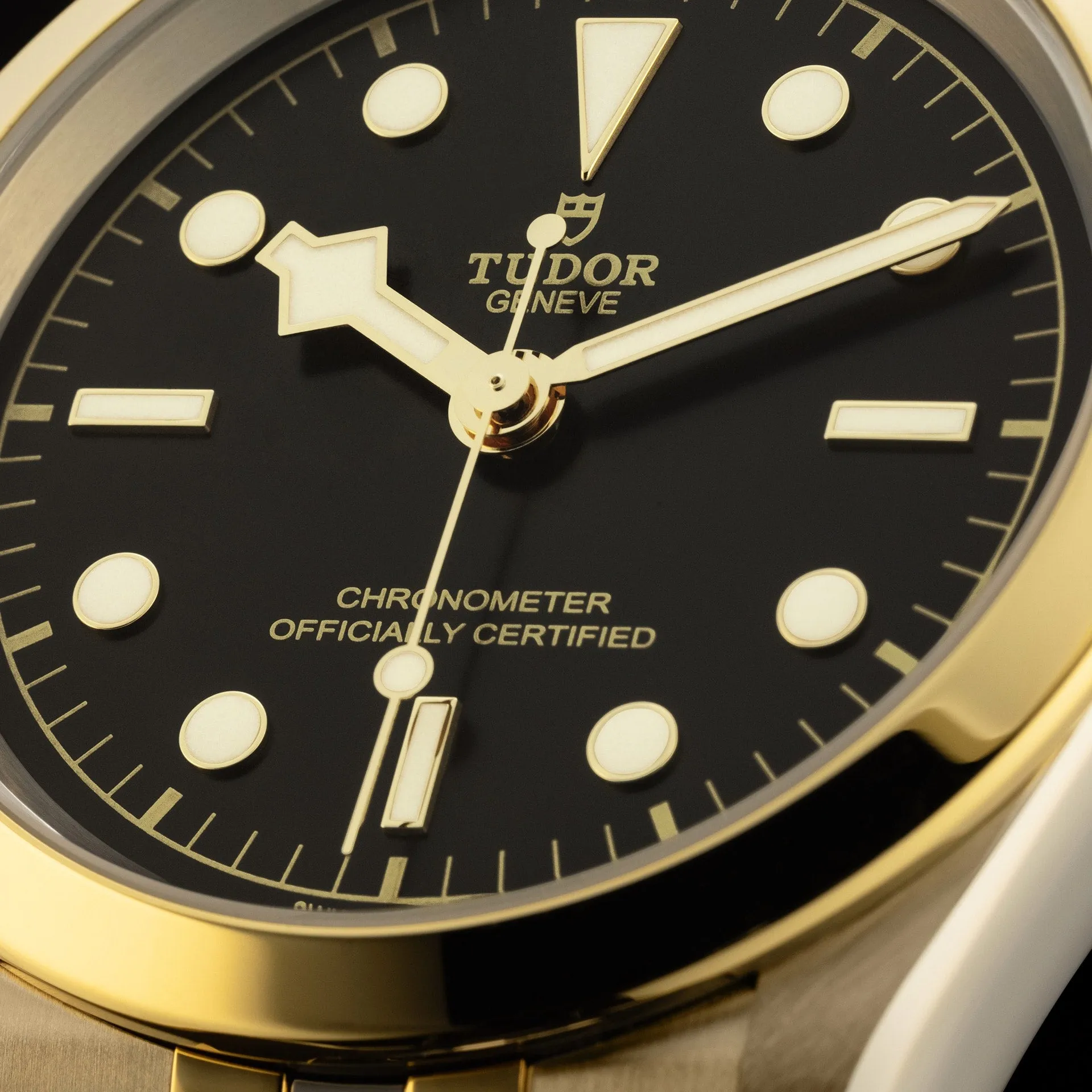 TUDOR Black Bay S&G 41mm