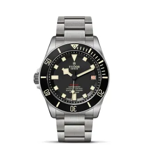 TUDOR Pelagos 42mm Titanium and Steel