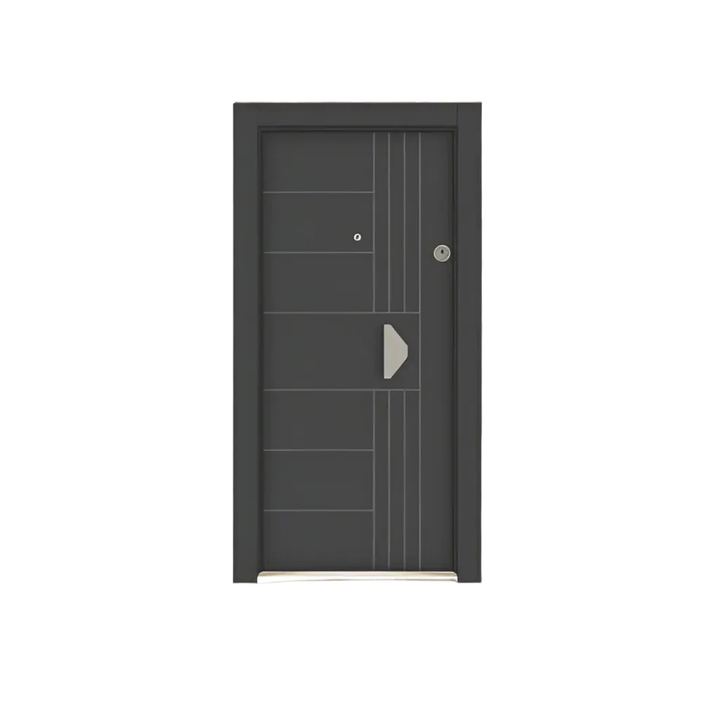 Turkish Luxury Steel Surface Exterior Security Door - CK-22