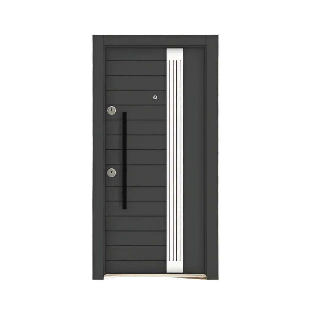 Turkish Luxury Steel Surface Exterior Security Door - CK-23