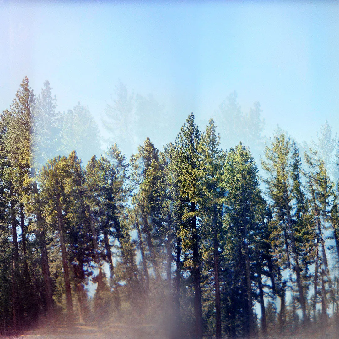 UNDER ONE SKY