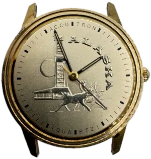 Vintage 33mm Accutron Alaska Men's Quartz Wristwatch USA 10k RGP & Gold Tone