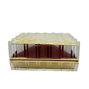 Vintage Benrus Diamond Pattern Men's Wristwatch Box USA Clear Plastic & Red Felt