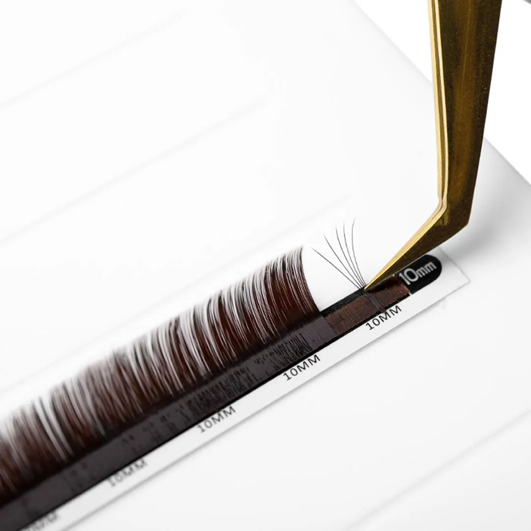 Volume Black Brown Mayfair Lashes 0.07