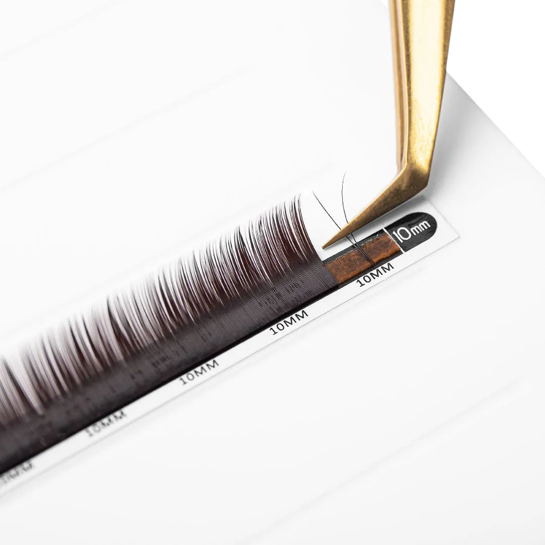 Volume/Classic Black Brown Mayfair Lashes 0.10