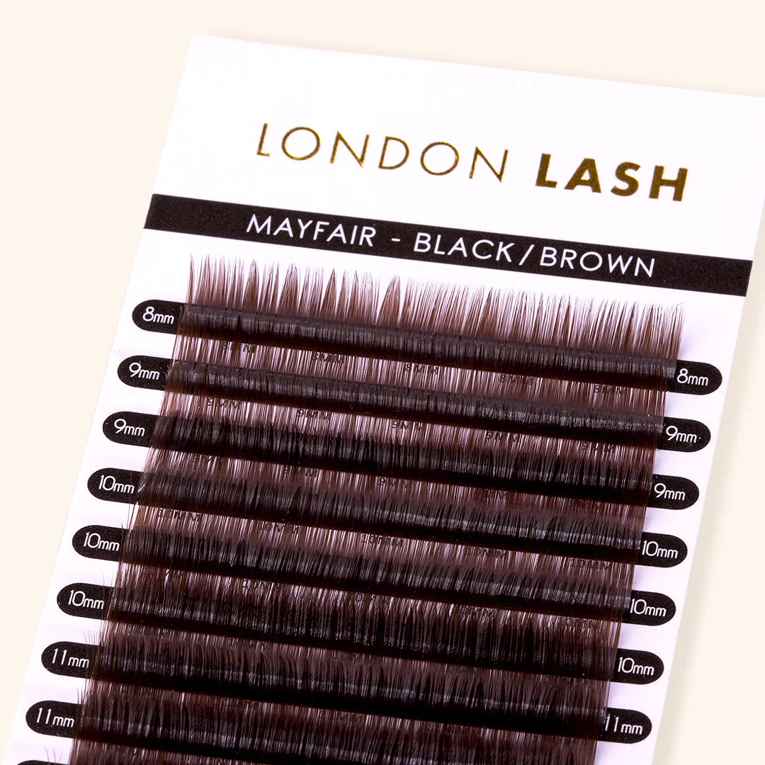 Volume/Classic Black Brown Mayfair Lashes 0.10